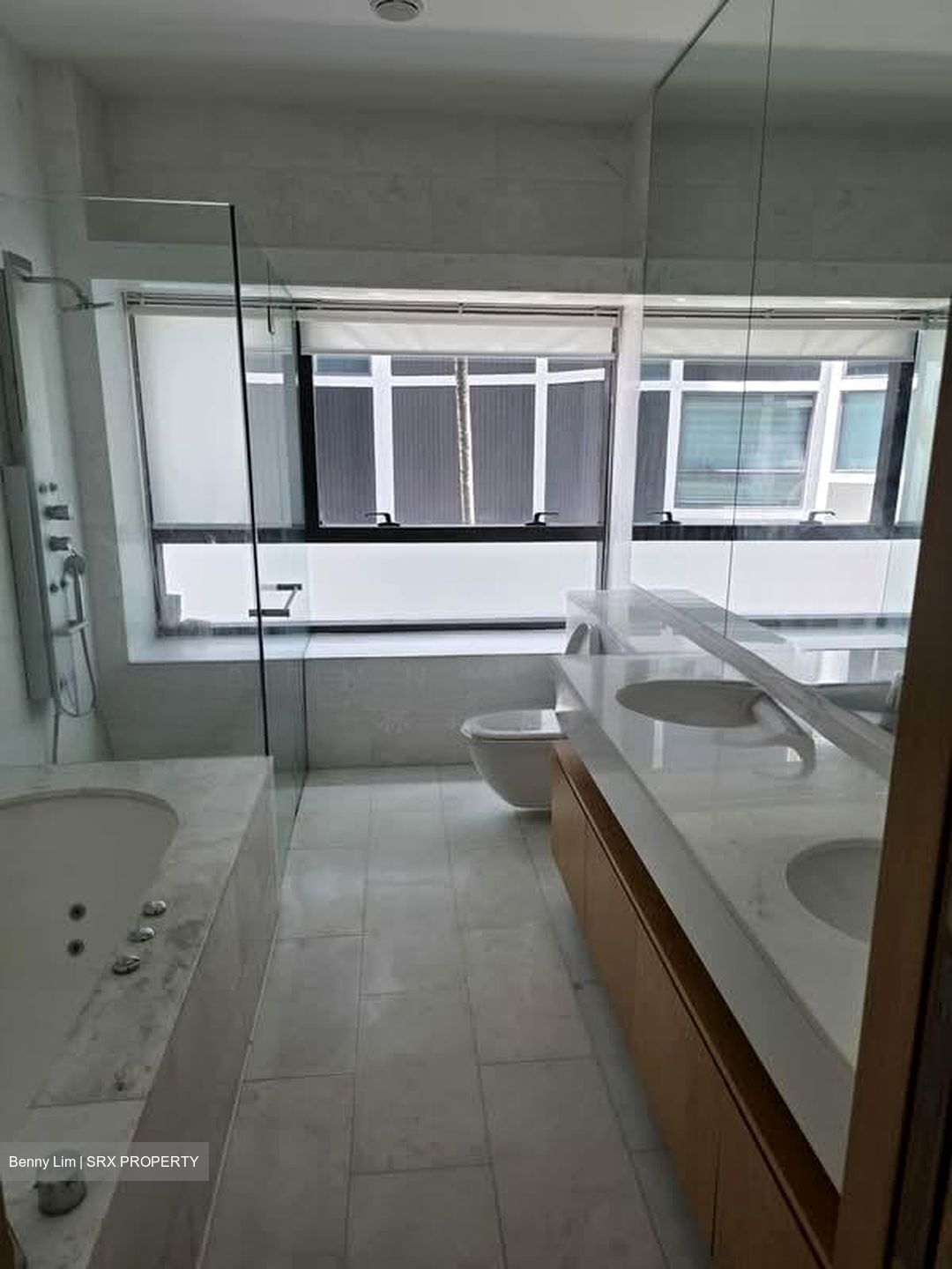 Belle Vue Residences (D9), Condominium #547729501